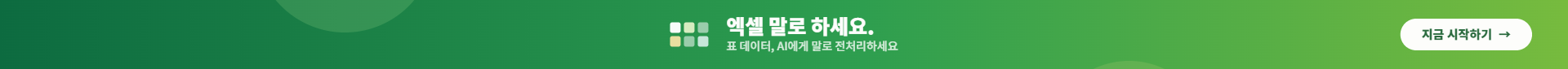 엑셀 말로 하세요 - 표 데이터, AI에게 말로 전처리하세요